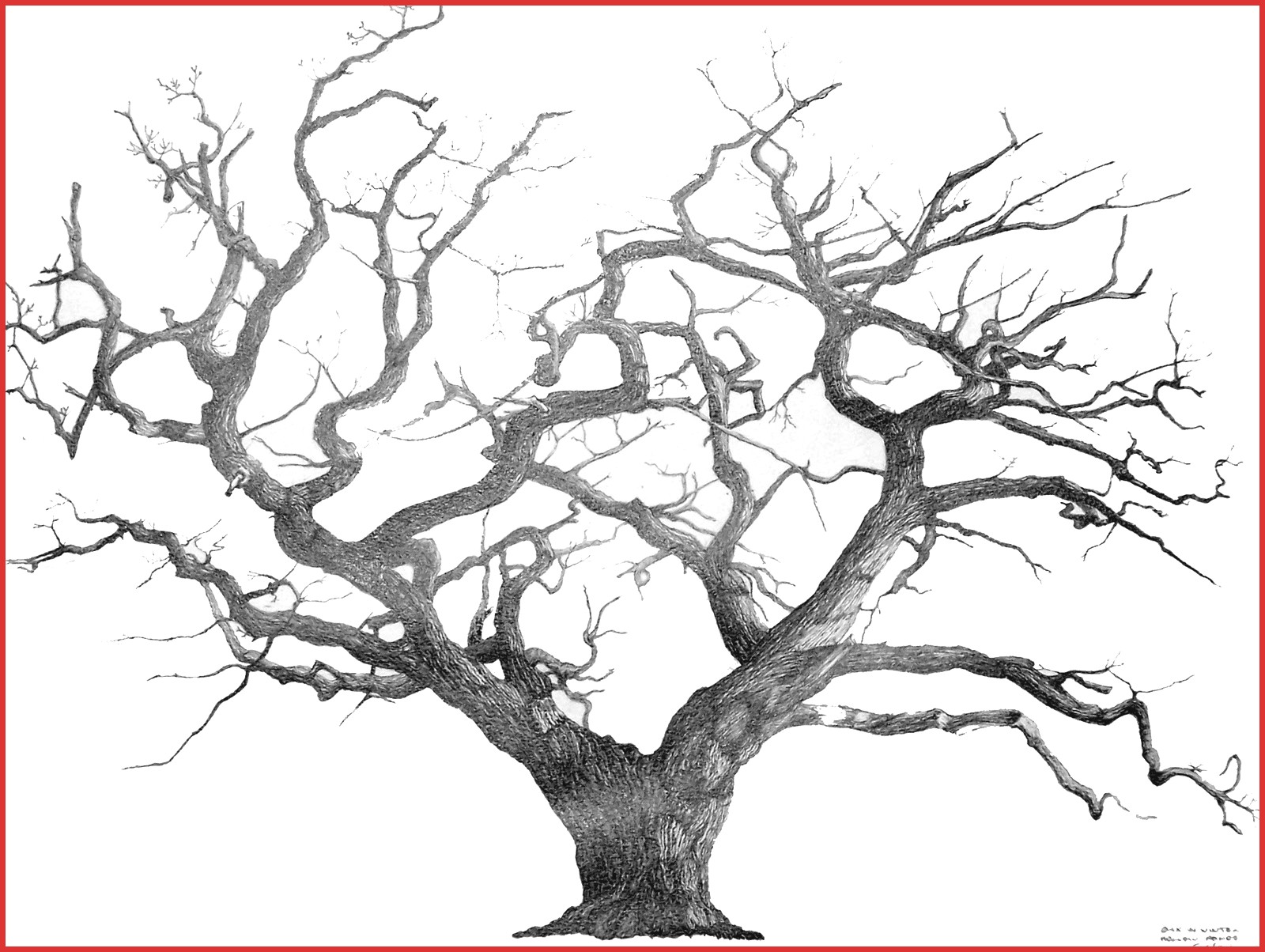 1600x1204 Art 3d Drawing Old Tree How To Draw 3d Tree With Pencil Youtube