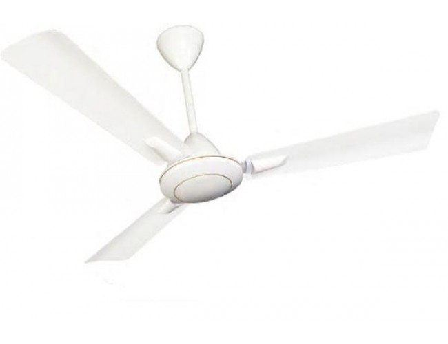 650x500 Crompton Olga 48 Ceiling Fan
