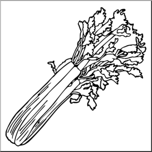 304x304 Clip Art Celery Bampw I Abcteach