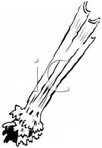 206x300 Art Image Black And White Celery Stalks