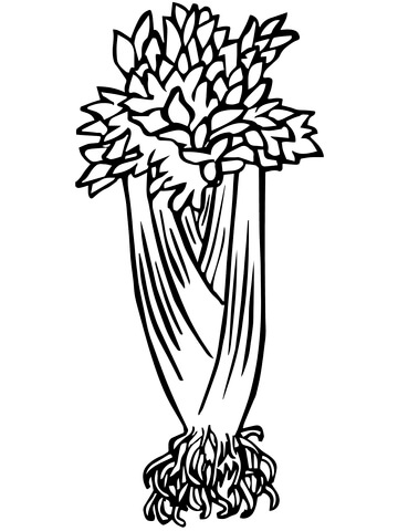 360x480 Celery Brush Coloring Page Free Printable Coloring Pages