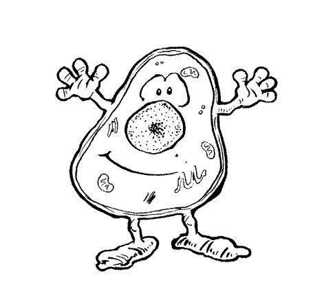 Cell Cartoon Drawing at GetDrawings | Free download