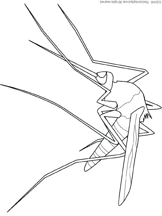 540x720 Complete Cell Phone Coloring Pages Print Pictures M