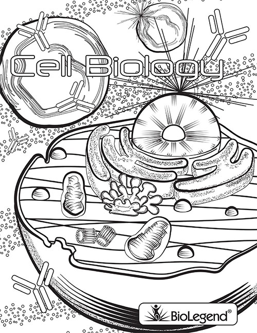 500x647 Biolegend Legendary Coloring Book