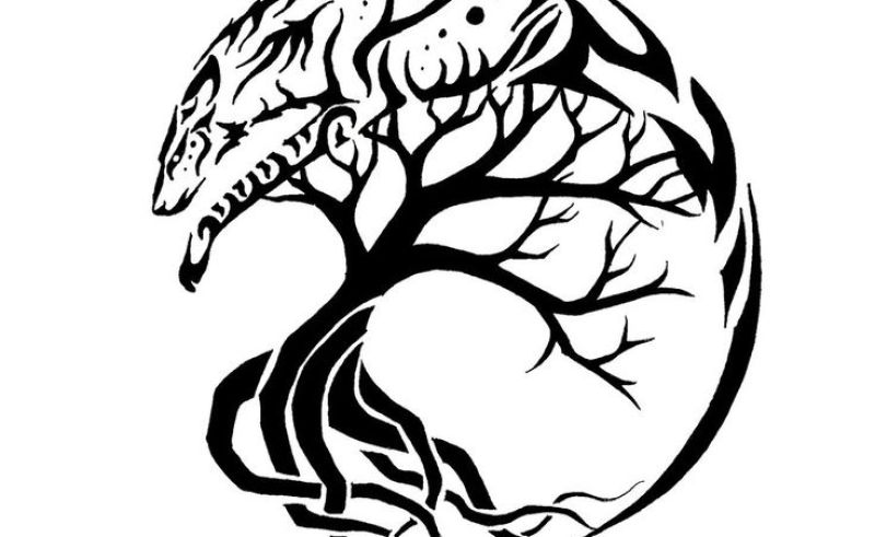 800x491 Celtic Artwork Drawing Flower Gardening Flower And Vegetables