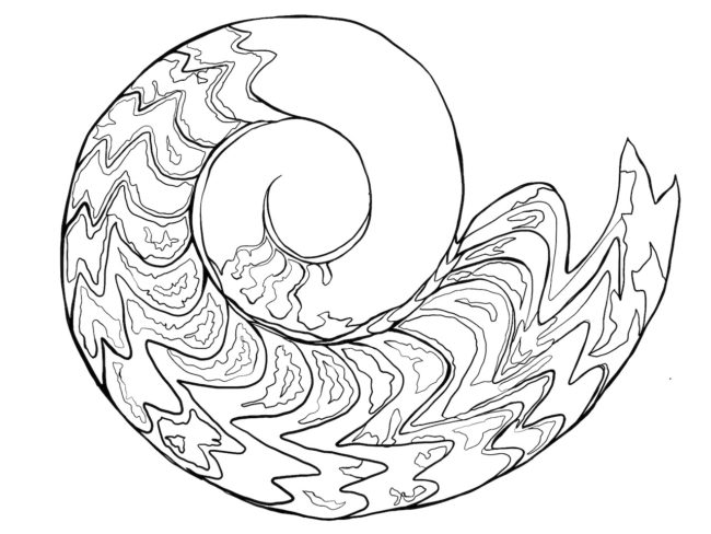 650x488 Lyric Art Tutorial Adobe Illustrator Draw App