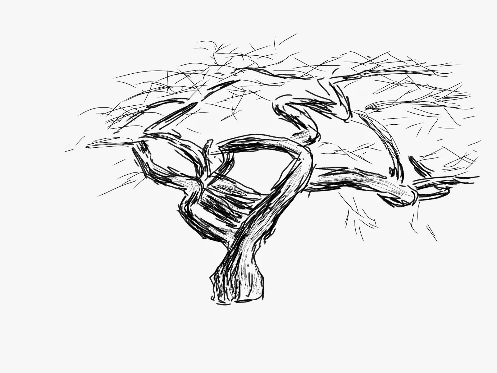 1600x1200 Urban Sketchers Portland February 2015