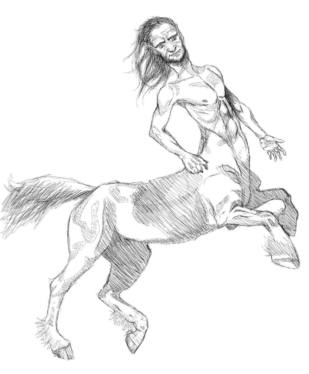 1024x1240 Centaur Sketch By Pillowpet1997