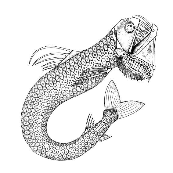 567x567 Ceramic Tiles Wilful Ink