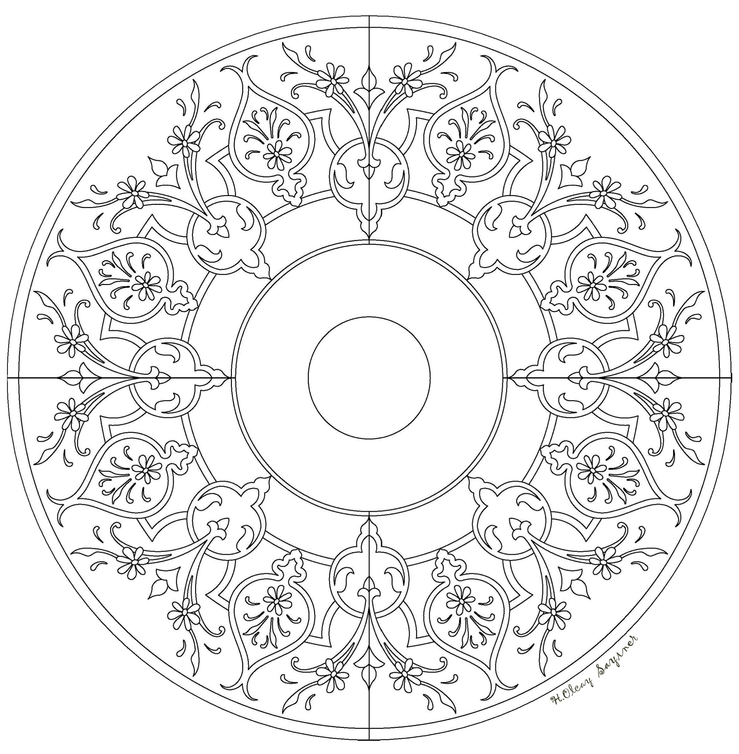 2413x2461 H.olcay Sayiner