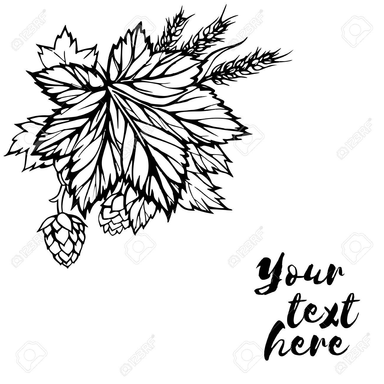 1300x1300 Hand Drawing Black And White Image In The Sketch Style. Ear