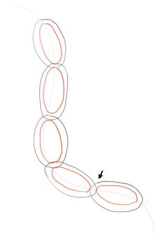 236x340 Set The Size Of The Chain How To Draw Chains