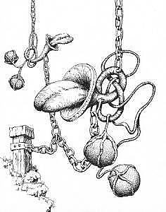 236x300 Chained Drawings