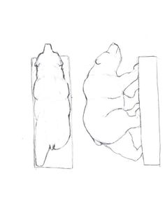 236x308 Bear Pattern Outline Den Projects Outlines