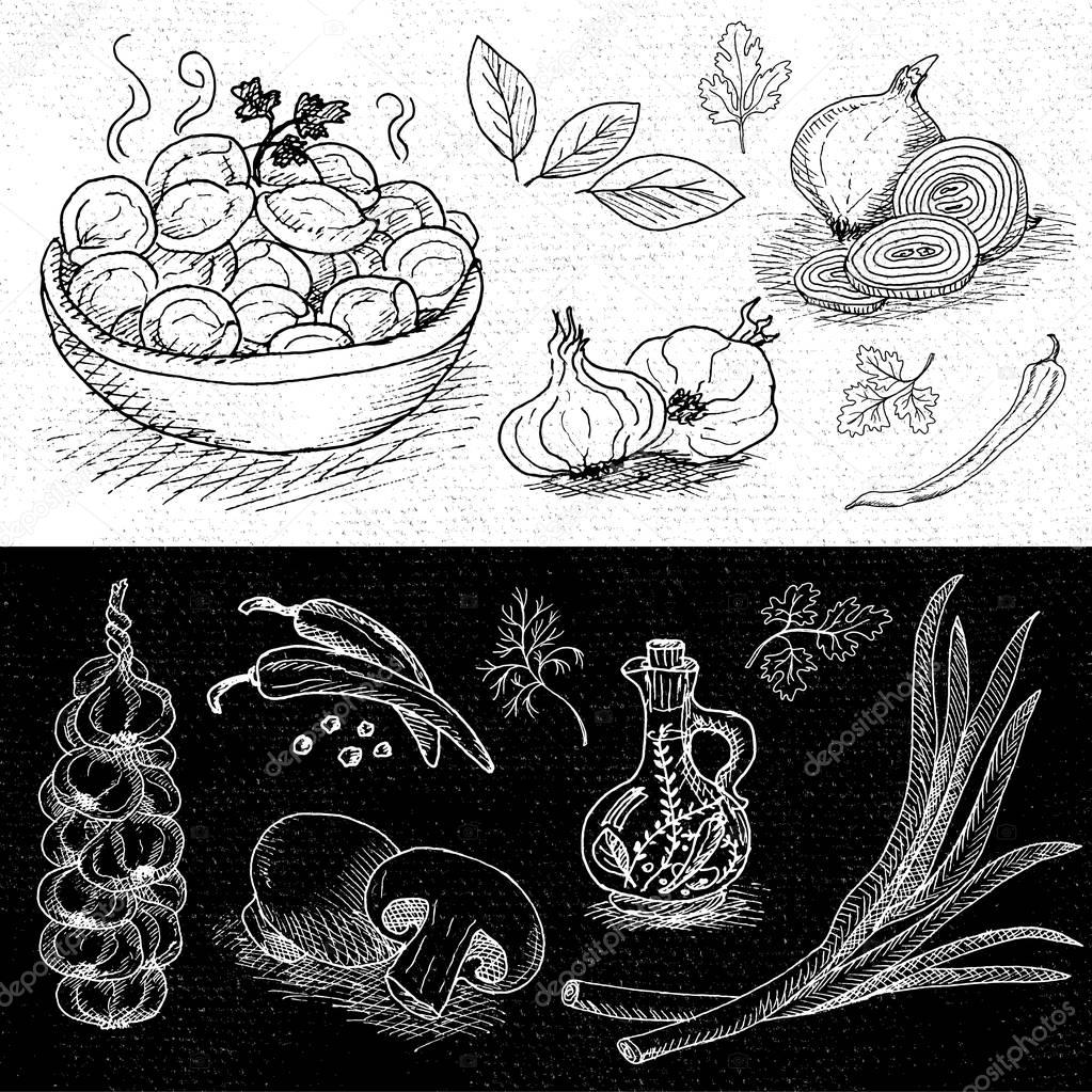 1023x1023 Set Of Chalk Drawn On A Blackboard Food, Spices. Stock Vector