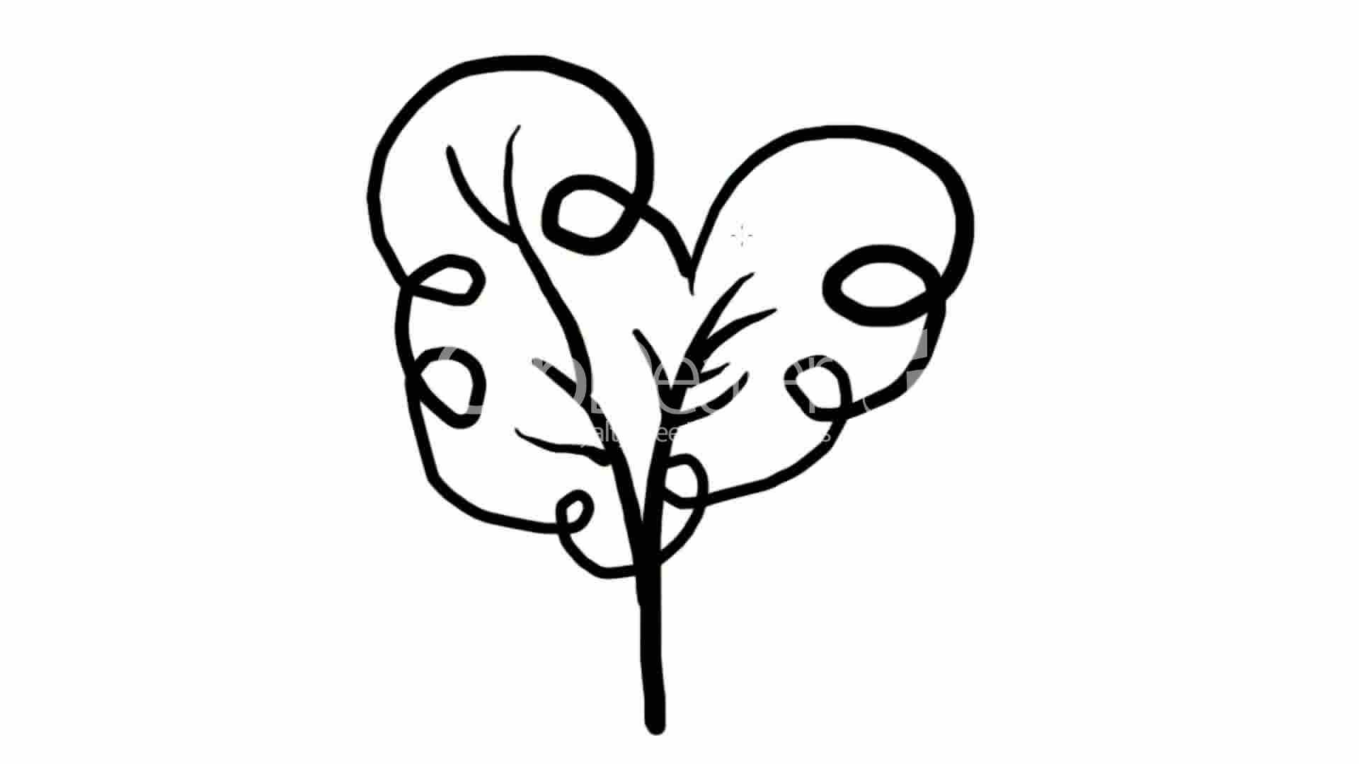 1920x1080 Drawing Of Tree,hand Painting Video Material,sketch.children