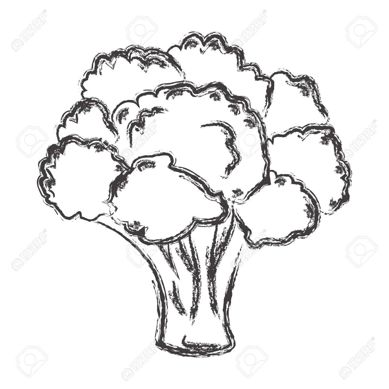 1300x1300 Atristic Hand Drawn Illustration Of Broccoli, Chalk Drawing