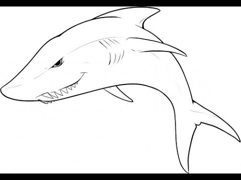 480x360 How To Draw A Shark