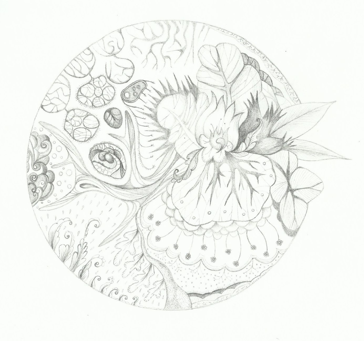 1385x1297 Pin By Hulpiau Karla On Eigen Werk