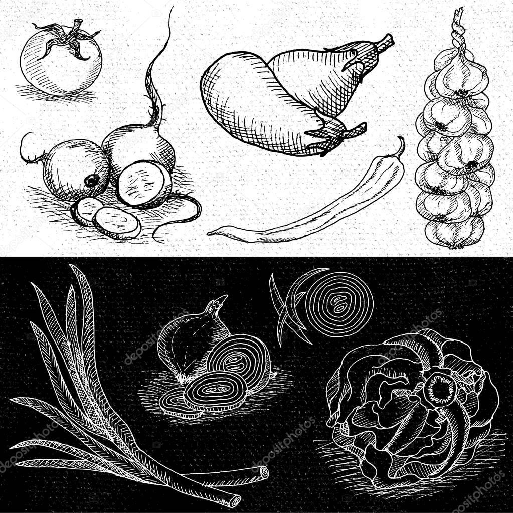 1023x1023 Set Of Chalk Drawn On A Blackboard Food. Stock Vector