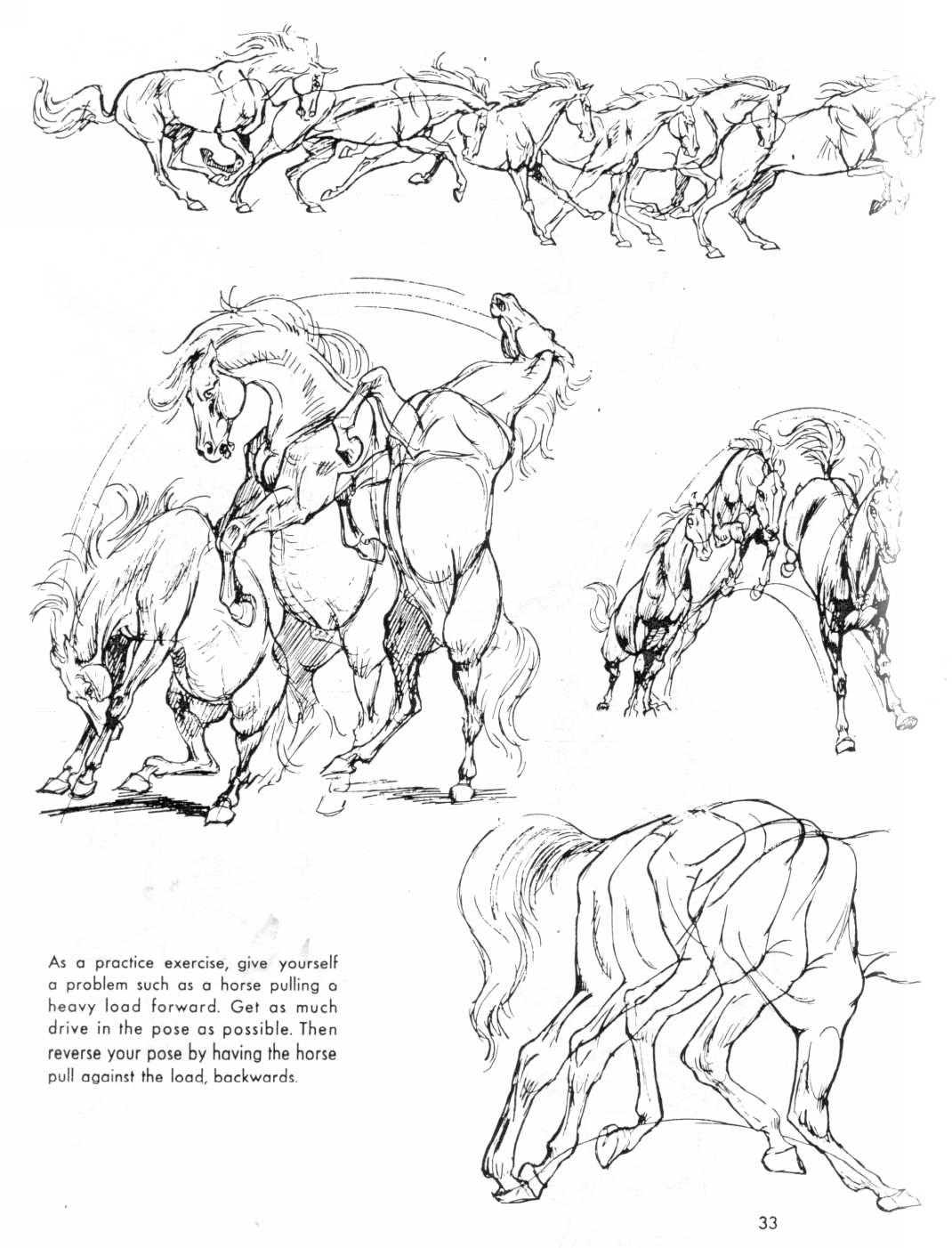 1070x1402 Art Of Animal Drawing Book The Art Of Animal Drawing