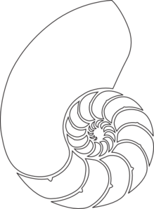 219x298 Nautilus Shell Outline Clip Art For Large Design On Wallceiling