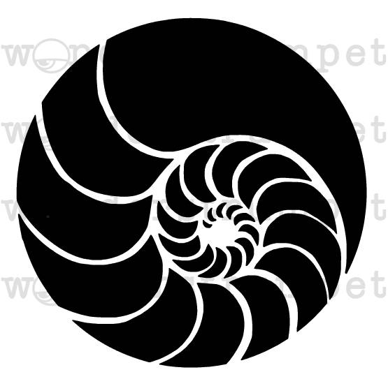 555x553 Sacred Geometry Nautilus Spiral Stencil From Strumpetstencils