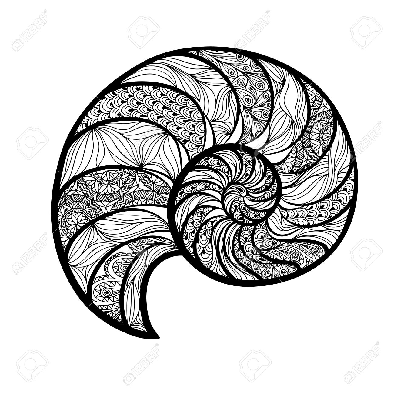 1300x1300 Seashell Nautilus. Sea Shell Set Ingraved Vector Illustration