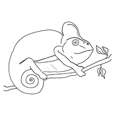 230x230 Chameleon Coloring Pages