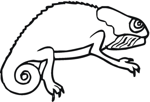480x326 Chameleon Coloring Page Free Printable Coloring Pages