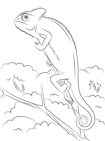 358x480 Veiled Chameleon Coloring Page Free Printable Coloring Pages