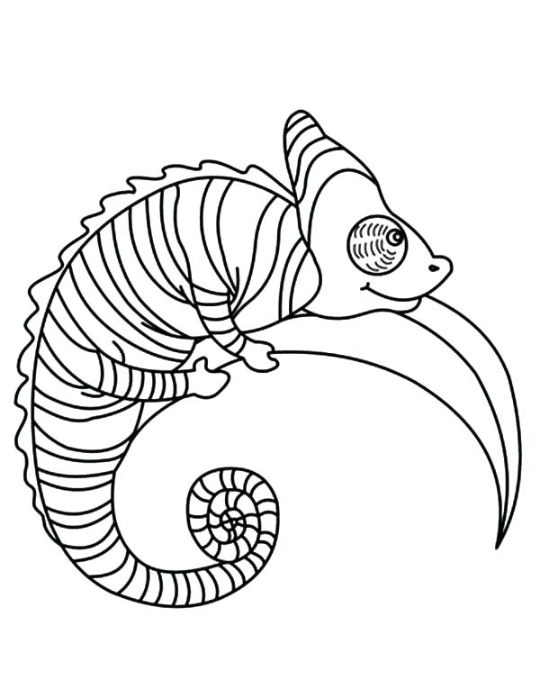 600x775 Chameleon Coloring Pages Cortefocal.site