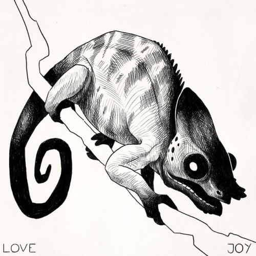 500x500 Chameleon Drawing Tumblr