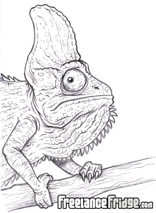 500x681 Chameleon Cartoon Freelance Fridge Illustration Amp Character Design