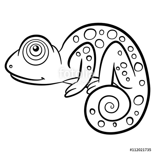 500x500 Coloring Pages. Wild Animals. Little Cute Chameleon. Stock Image