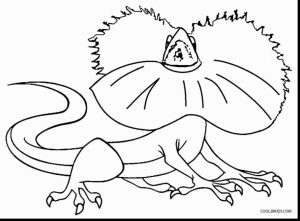 300x221 Mixed Up Chameleon Coloring Page Coloring Page For Kids