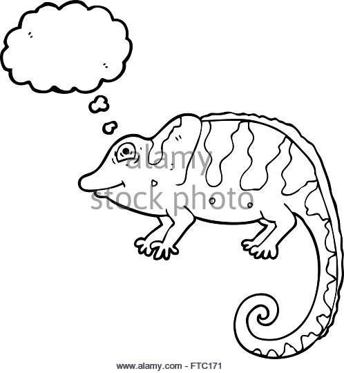 498x540 Chameleon Illustration Black And White Stock Photos Amp Images