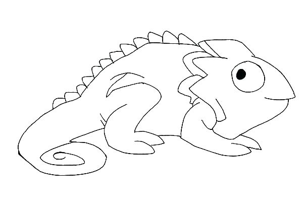 600x429 Drawing Coloring Pages