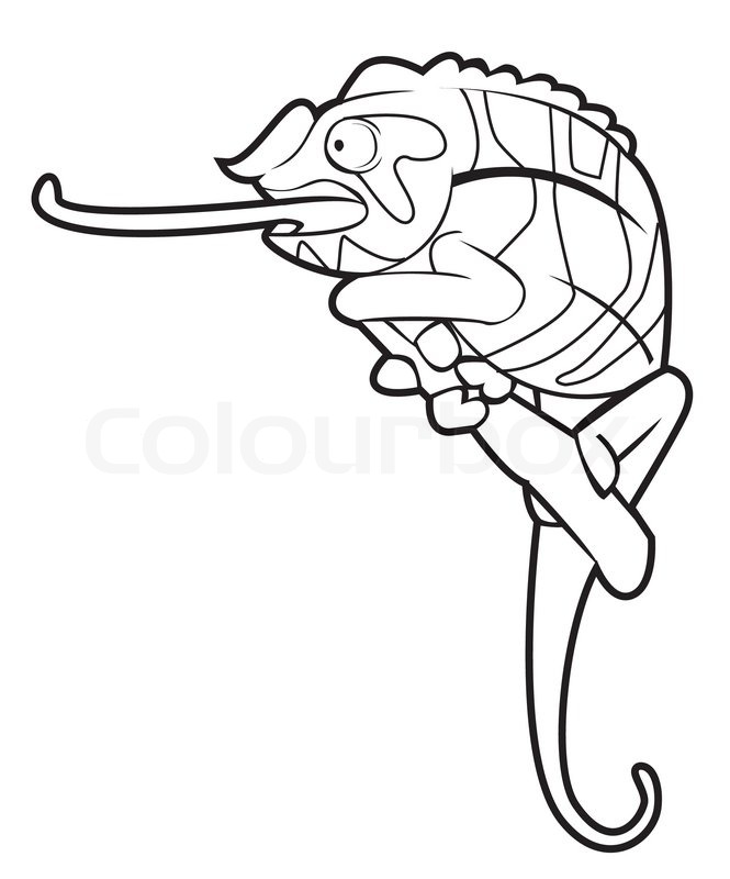 Chameleon Line Drawing at GetDrawings | Free download