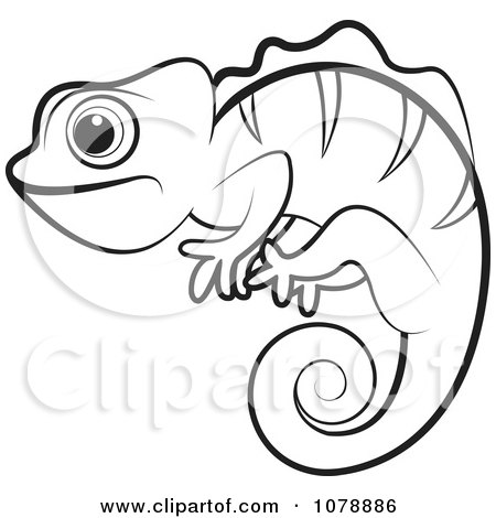 450x470 Clipart Outlined Chameleon Lizard