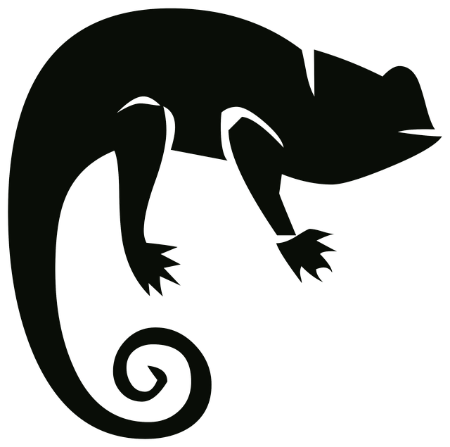 640x635 Free Photo Chameleon Outline Silhouette Animal Nature Drawing