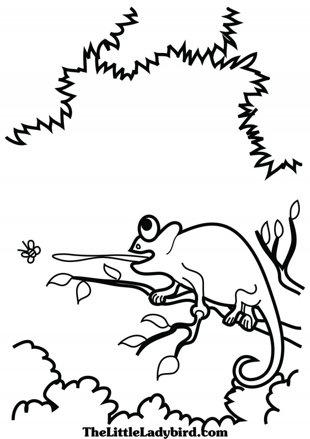 640x905 Mixed Up Chameleon Coloring Page