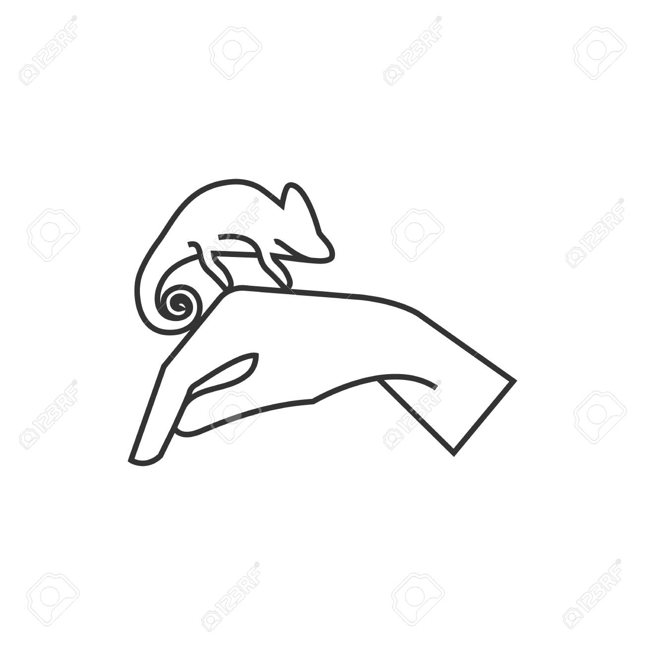 1300x1300 Animal Care Icon In Thin Outline Style. Chameleon Zoo Jungle