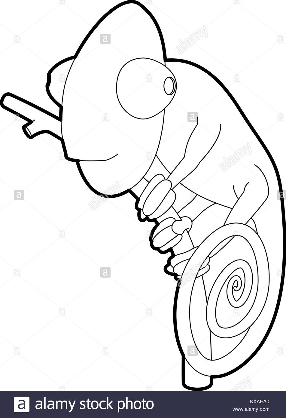 952x1390 Chameleon Black And White Stock Photos Amp Images