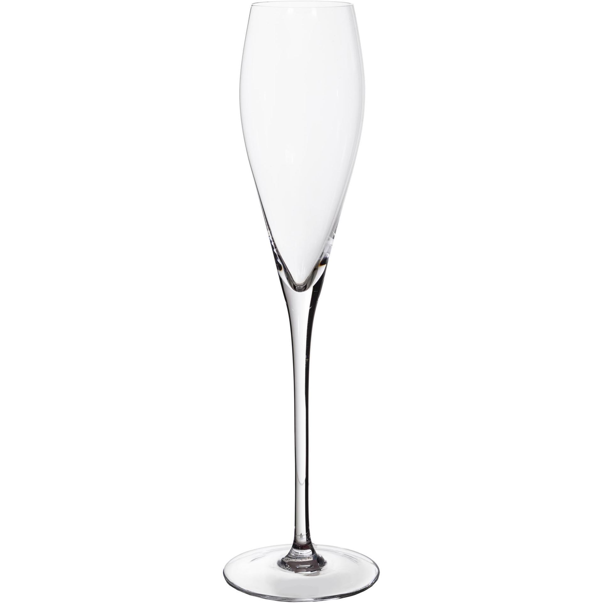 1920x1920 Janay Champagne Glass H27cm Clear The One. Furniture Dubai