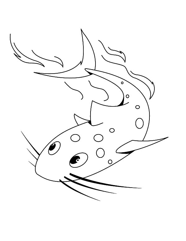 600x776 Catfish Look Like A Shark Coloring Pages Best Place To Color