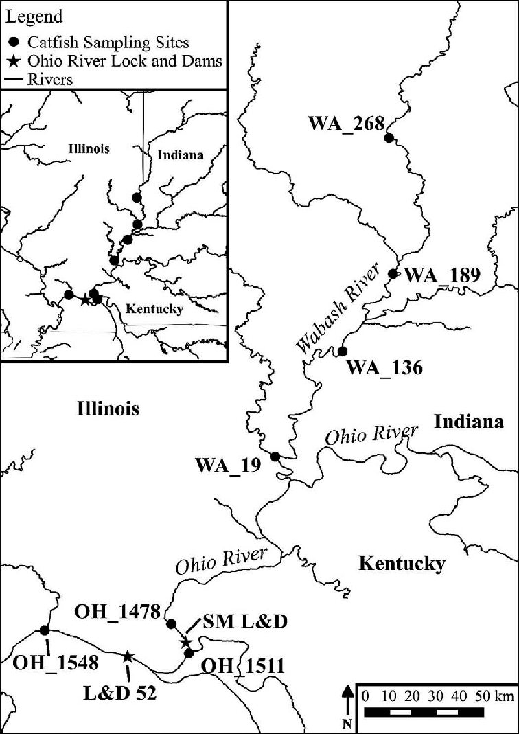 756x1069 Sample Sites For Channel Catfish On The Wabash And Ohio Rivers,