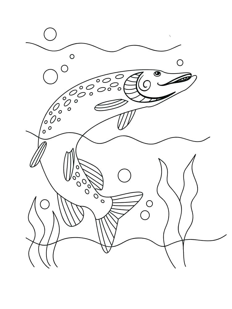 750x1000 Catfish Coloring Page