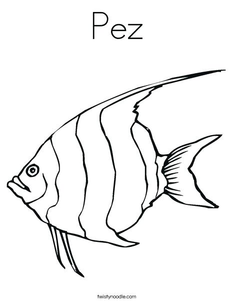 468x605 Catfish Coloring Page Angelfish Coloring Page Free Catfish