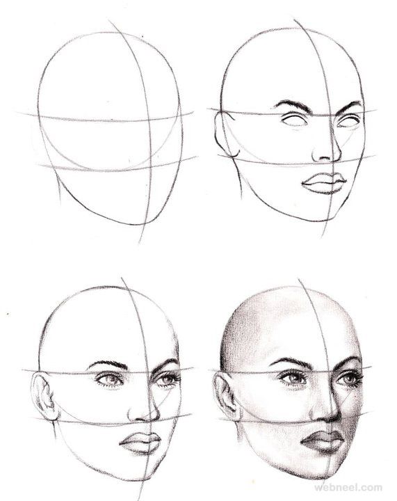 571x720 How To Draw A Face